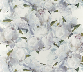 Обои Designers Guild Foscari fresco PDG1094/02